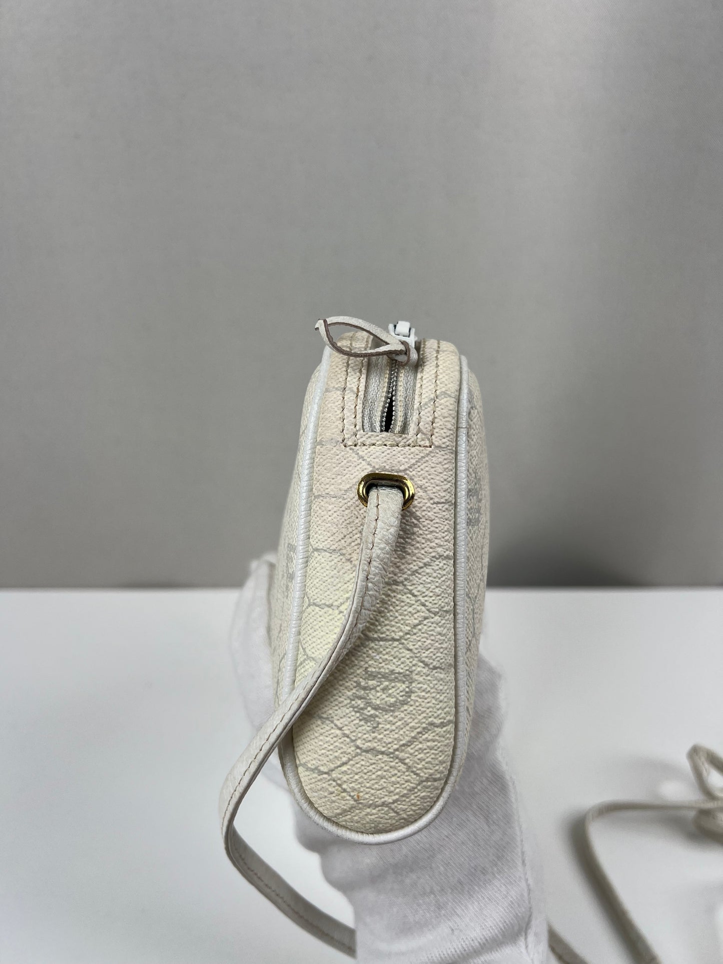 Dior crossbody bag  cayanen with wallet