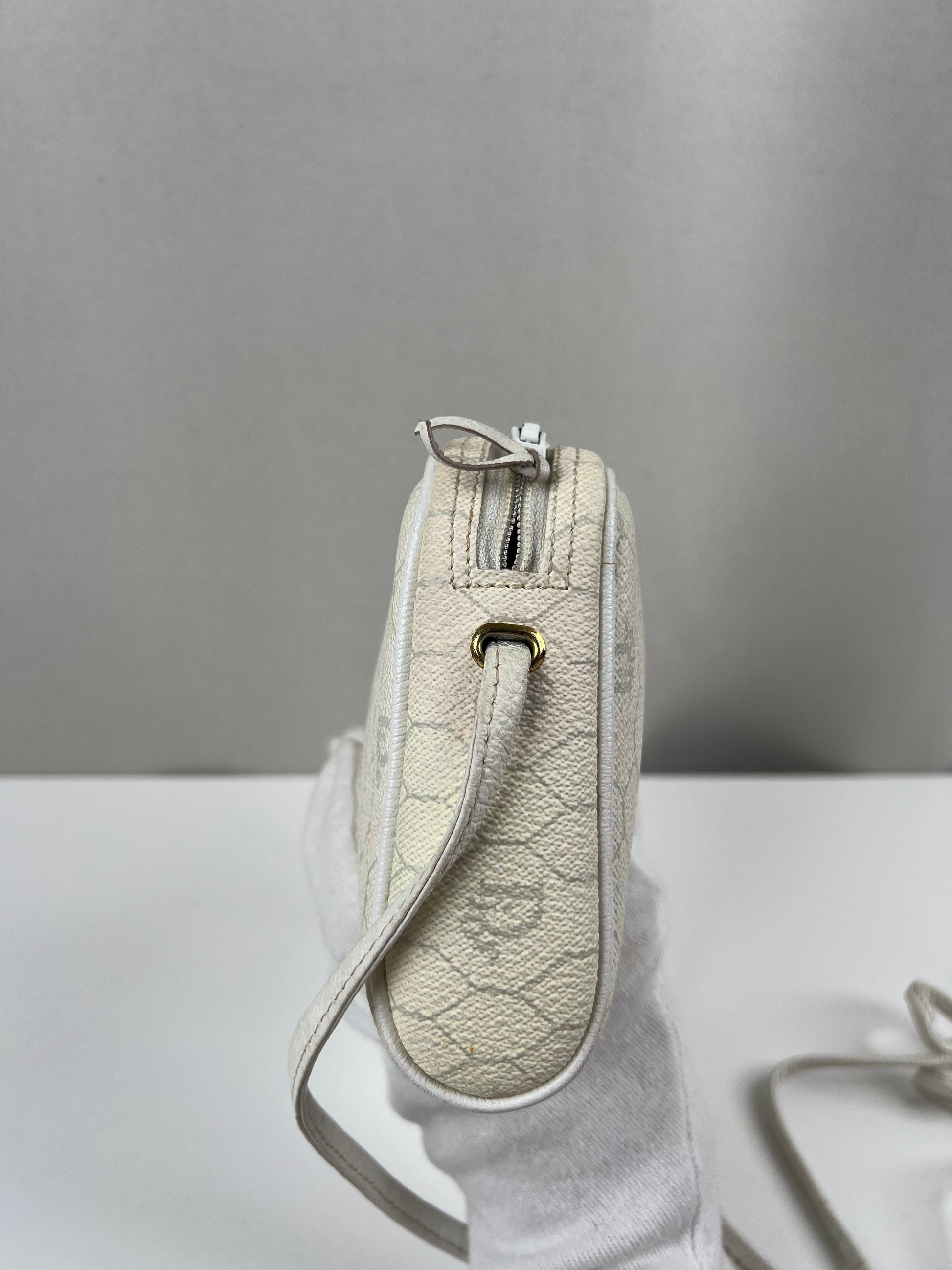 Dior crossbody bag  cayanen with wallet