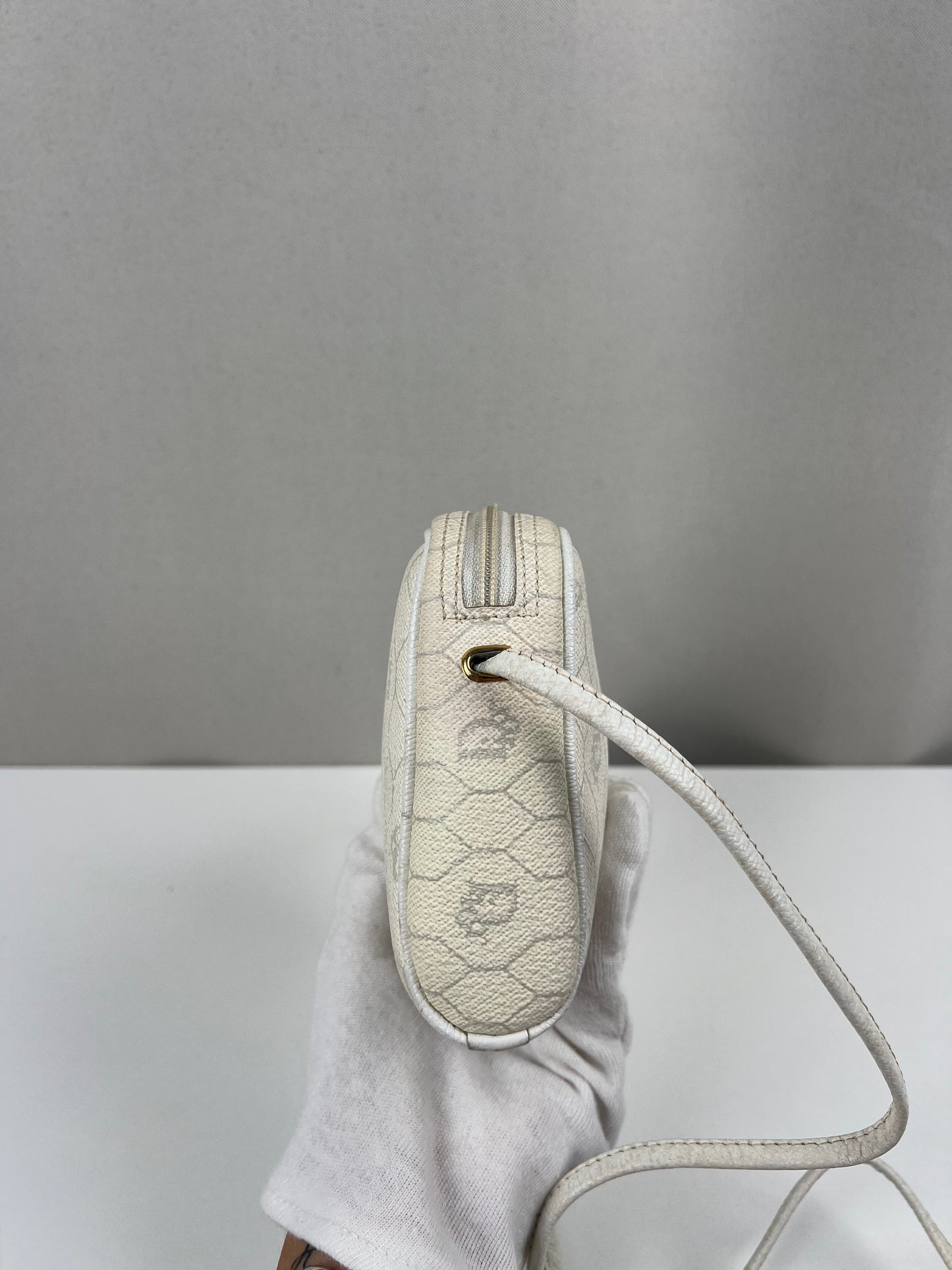 Dior crossbody bag  cayanen with wallet