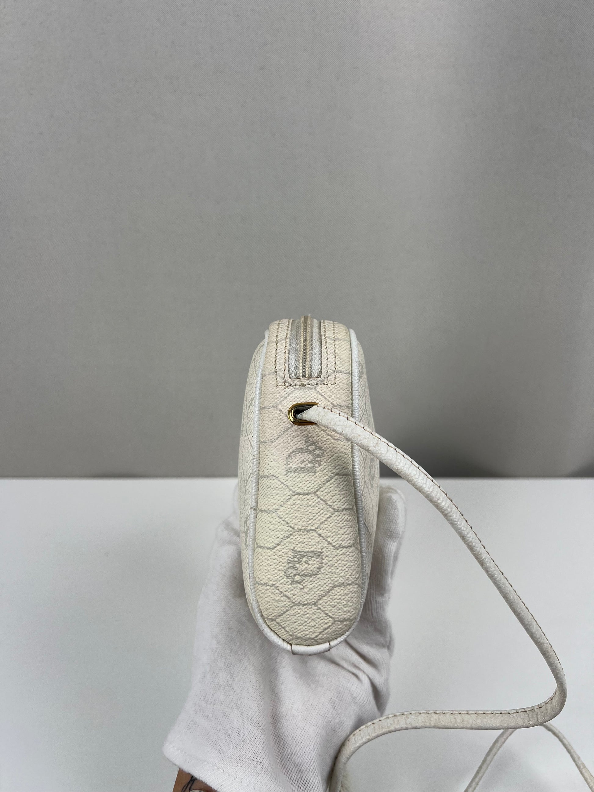Dior crossbody bag  cayanen with wallet