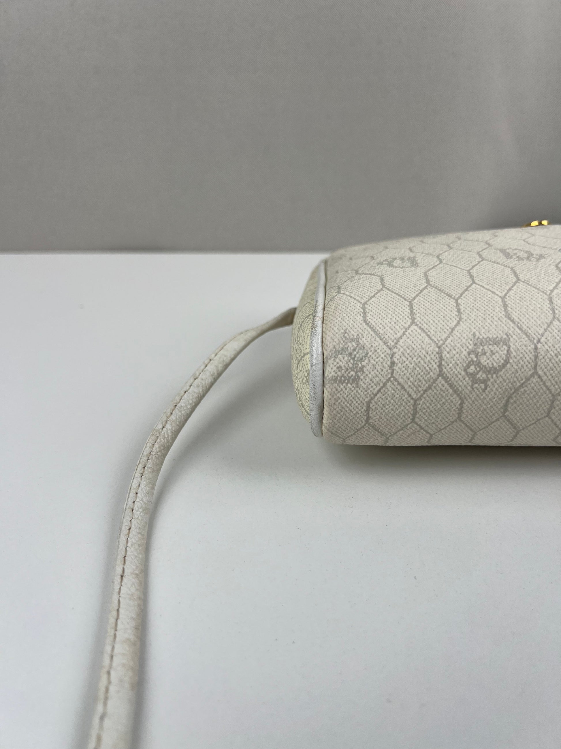 Dior crossbody bag  cayanen with wallet