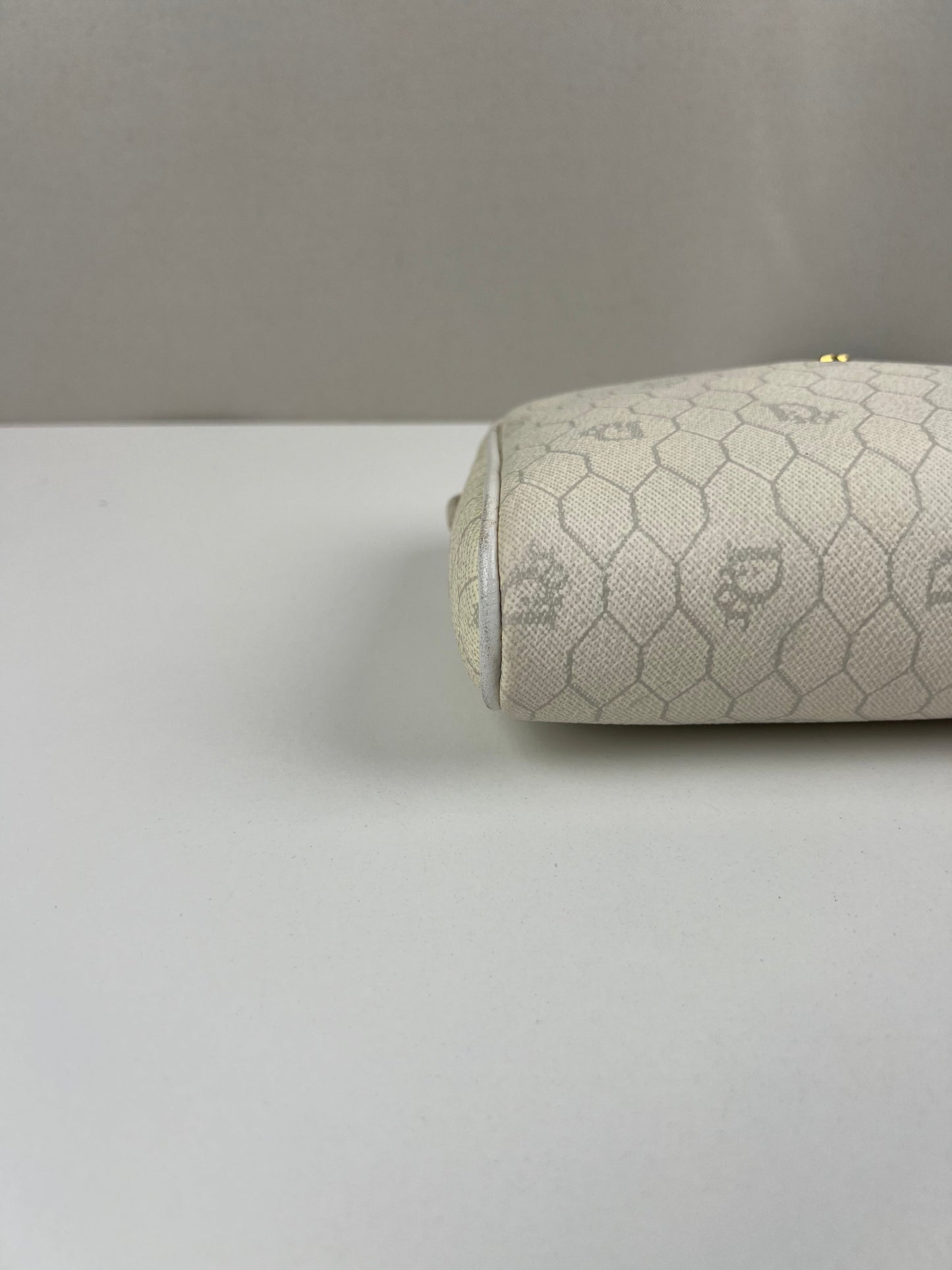 Dior crossbody bag  cayanen with wallet
