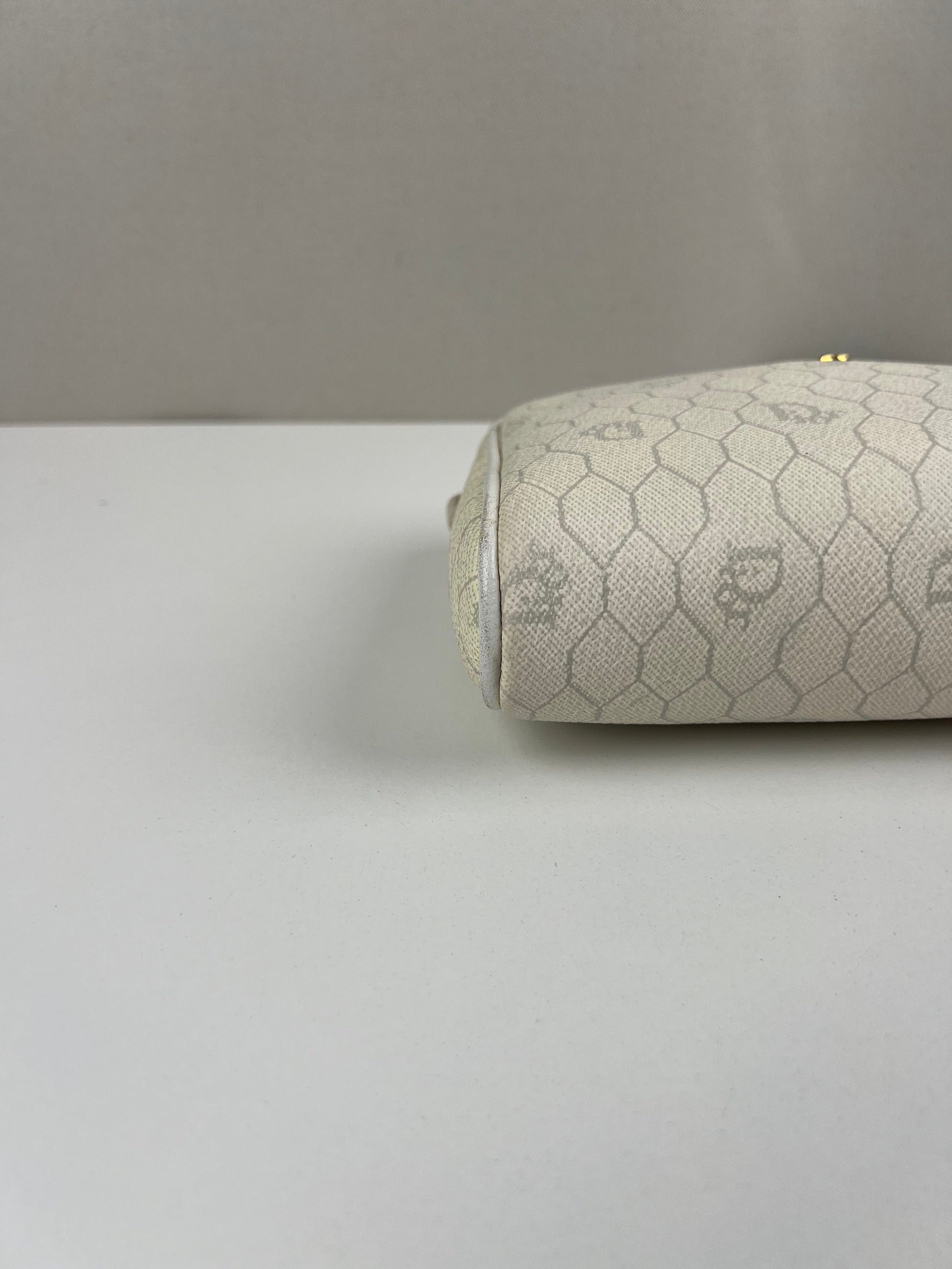 Dior crossbody bag  cayanen with wallet